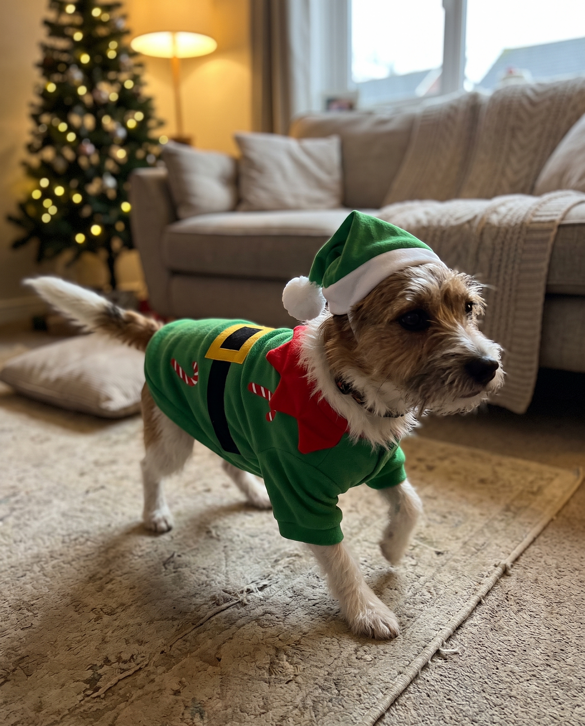Customer photo elf